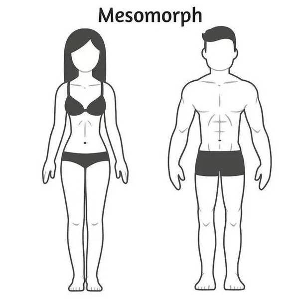 哪种体型的男生最受女生欢迎?