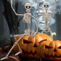 Skull Man Toy Knuckle Movable Stand-up Skeleton Model Man Puppets Swing Piece Bone Gentleman Halloween props
