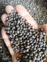 Small black pea small gray beans small pea meat pigeon parrot hamster feed full 6kg bag freight