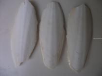 Medium cuttlefish bone cuttlefish Cuttlefish shell parrot calcium molar 3 yuan 1 tablet