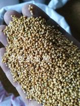 Millet with Shell millet corn tiger skin peony small parrot bird food bird feed 5kg