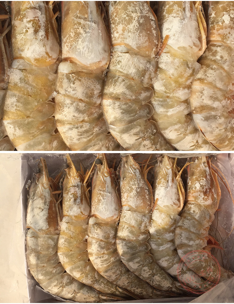 威海孙小乔海鲜野生大对虾大青虾大虾4只/斤(1000g/400元)