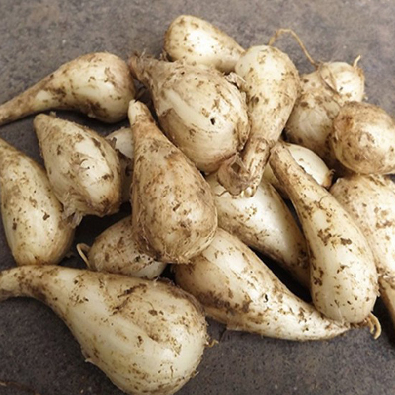 江西兴国特产红著干荞头黑木耳酸菜笋空心粉生姜