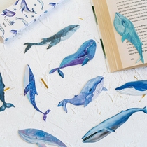 Whale bookmark hand account Big-winged whale whale dolphin Diver gift 30 sheets a box of whale bookmark book cards