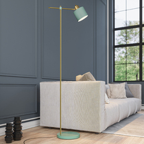 Childrens room floor lamp remote control bedroom bedside ins Wind Nordic extremely simple girl light luxury living room vertical table lamp