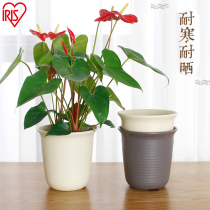 Alice flowerpot plastic large succulent plant long imitation ceramic resin green Alice creative balcony