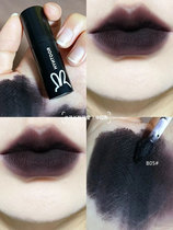 Dark Black Macaron Lip Mud HYNTOR Black Rabbit Lip Mud B04 Matt Mist Surface Mouth Purple B06 Mouth Brown B05