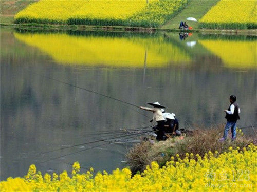 春江水暖,钓鱼正当时!