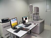 Scanning electron microscope topography observation and elemental composition analysis(SEM-EDS) Professional operation