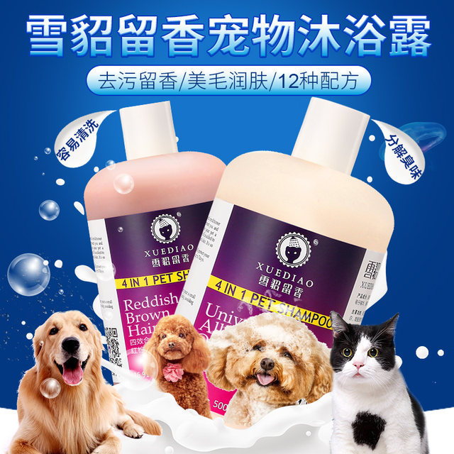 Ferret ເຈວອາບນ້ຳໝາສັດ 6-in-one, ຕ້ານເຊື້ອແບັກທີເຣັຍ, ກຳຈັດແມງ, ດັບກິ່ນ ແລະກິ່ນຫອມ Teddy Golden Retriever cat shower gel shampoo