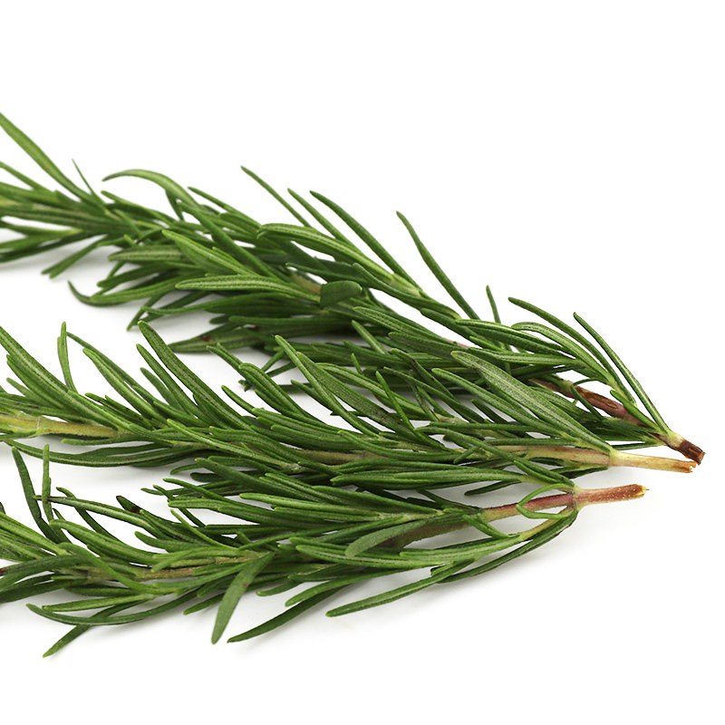 包邮新鲜迷迭香250g食用调料