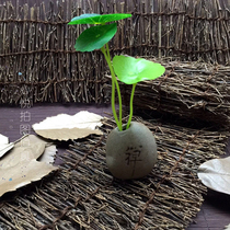 Ancient Wind Buddha Zen small lotus leaf photographic suit tea shooting background photo props Taobao retro photo swing piece