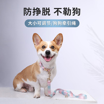 Dog traction rope chain walking dog rope collar with puppy small medium dog Tedickkee pet supplies
