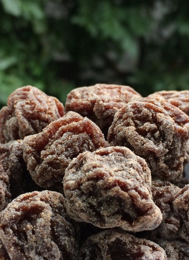 展示与对比:酸甜咸话梅农夫梅咸梅新鲜蜜饯李梅零食果