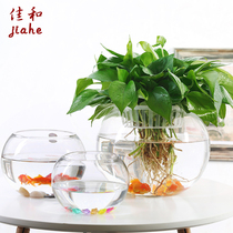 Large glass hydroponic plant flowerpot office desktop water-raised green basket copper money grass vase round transparent fish tank