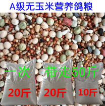 50 catties of pigeon grain without corn pigeon grain nutrition feed bird food pigeon ornamental pigeon meat Pigeon Pigeon young pigeon grain