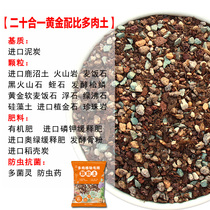 Succulent plant nutrient soil breathable pure granular meat planting special leaf insert soil peat general-purpose paving stone
