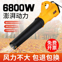 Handheld High Power Blower Blow Ash Machine Dusting Machine Storm Wind Machine Blowing Snow Blower Blow Leaves 220v Industrial Electric