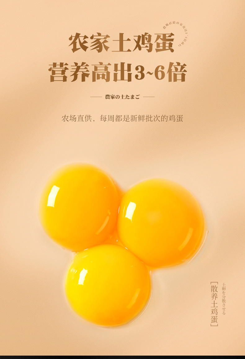 网红手撕全麦面包400g