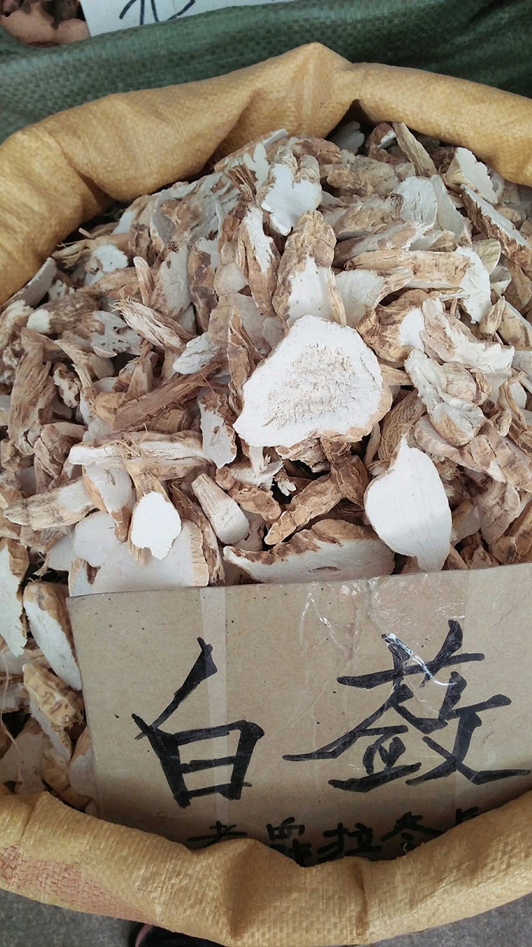 野生中药材 白蔹/白敛/见肿消/山地瓜/铁老鼠/穿山老鼠500g包邮_7折