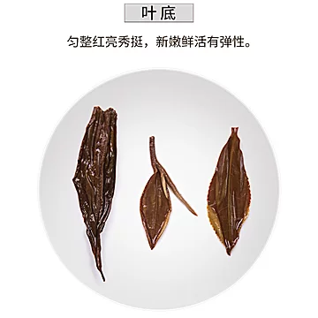 武夷山金骏眉红茶茶叶礼盒装[135元优惠券]-寻折猪