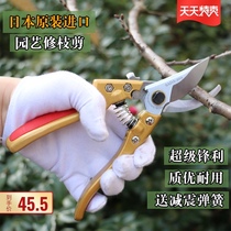 Gardening scissors imported tools pruning shears branches flowers and trees trimming scissors fruit trees scissors jigs