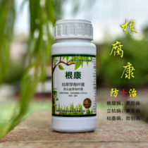 Genkang fruit tree root rot spirit big tree soil regulation fungus fertilizer fungicide plant root rot flower wilt Verticillium wilt