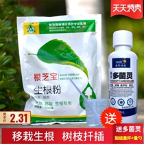 Big tree transplanting rooting agent Osmanthus fragrans pine and cypress special rooting powder fruit tree cutting multi-meat fertilizer plant quick-acting rooting solution