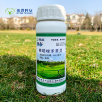 Lai Enping a special herbicide rye bluegrass tall fescue Zoysia grass broadleaf weeds