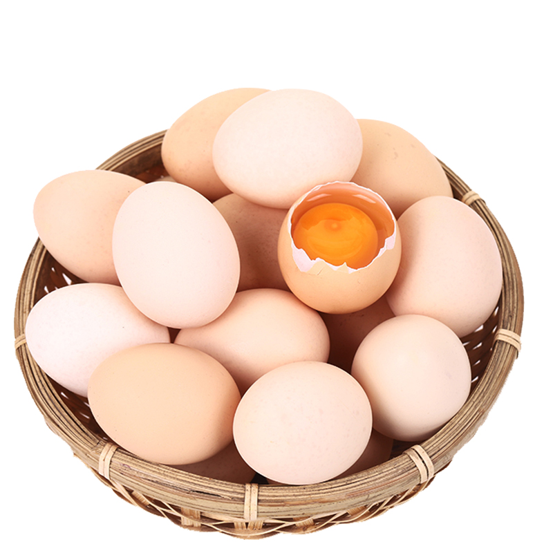 农家散养土鸡蛋笨鸡蛋40枚(热品库)