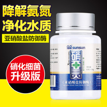 Sensen Nine Yalin fish farming nitrifying bacteria fish tank water purifying agent open tank water-free tablet Aqua digestive bacteria