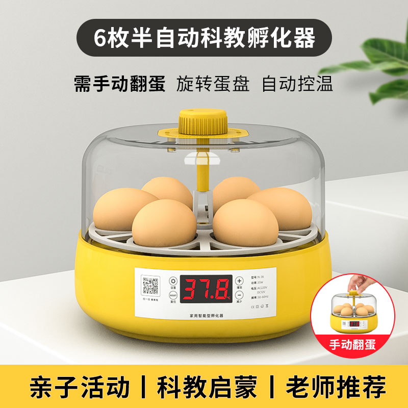 孵蛋器小型家用智能儿童玩具孵化器小鸡孵化机全自动芦丁鸡孵化箱- Taobao