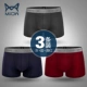 Cat nam cotton đồ lót nam mùa hè mỏng thoáng khí cotton boxer quần quần kích thước lớn gợi cảm nam boxer - Giữa eo