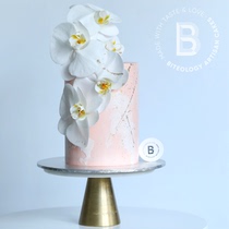 BITEOLOGY(BEST LOVE)C056 FLOWERS LADY MOTHER BIRTHDAY CAKE Beijing Shanghai SAME CITY