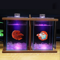 Betta special cylinder double cylinder Office dormitory living room desktop ultra-white small ecological micro-view double fighting fish tank
