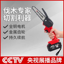 German Ruixi Lithium electric saw charging portable electric chain saw outdoor wireless small logging single hand saw pruning saw