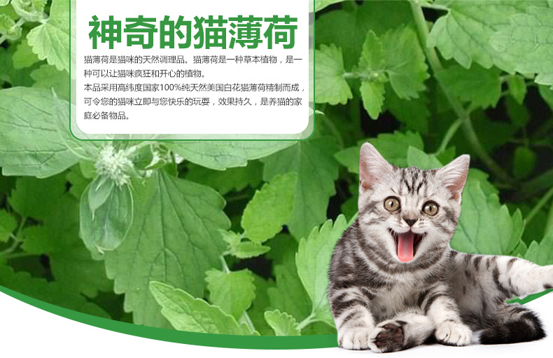 2018新款猫薄荷粉10g/支 去毛球开胃猫调理品 宠物零食厂家批发