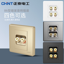 Chint audio socket speaker panel champagne gold Black gray double wall 4 banana interface 86 audio wall plug