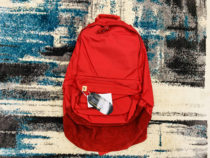 Spot VISVIM 16SS BALLISTIC 22L Suede Backpack Satchel Bag