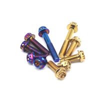 Stainless steel 304 burnt titanium screws M10 Outer hexagonal hollow flange cap screws 1 25 Tooth Retrofit Decorative Screws