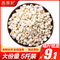 Yan Nanfei Fresh Guizhou small jobs tears Jobs tears rice Yi Five grains Whole grain grain grain oil 500g*5 bags