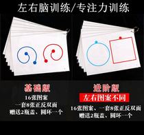 Whole brain development Teaching aids Thinking training Attention Early education Educational toys Flash cards Left brain Right brain Concentration artifact