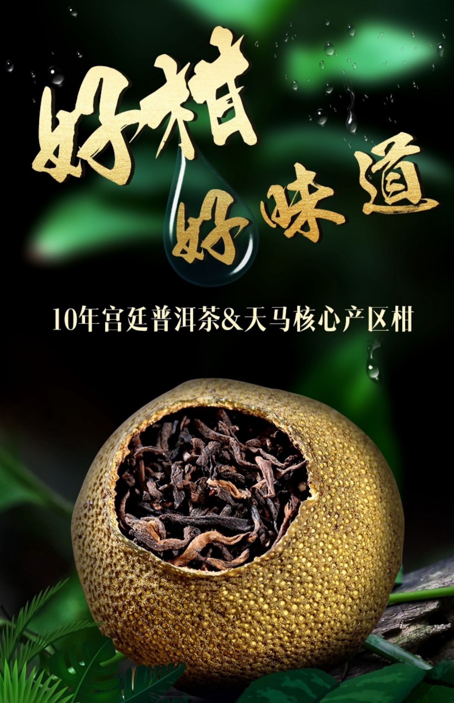 正宗生晒广东新会小青柑 茶叶 陈皮柑普茶 云南宫廷普洱茶 橘子茶