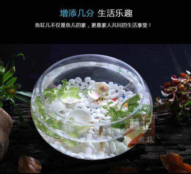 鱼缸透明玻璃办公桌创意水培圆形圆球圆型小型乌龟迷你桌面小鱼缸_7折
