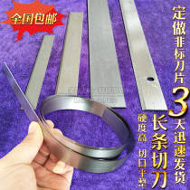 Custom-made long fruit knife cutting kitchen knife cutting fruit and vegetable cake meat food stainless steel long blade double-edged