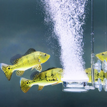 Fish oxygen pump Fish tank aerated pump ultra-quiet oxygen breeder air refiner gas bubble plate