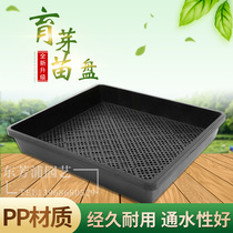 Bud dish seedlings pelvic rice seedlings dish meat-multi-meat-collection plastic square plate recipe