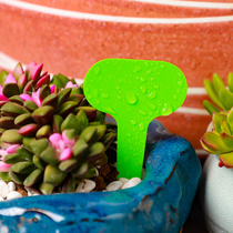 Multi-meat slot T-type flower famous flower pot plant label PVC plastic waterproof label gardening label