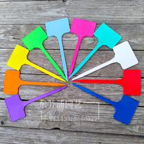 New 15cm Flower Label Plant Label Color Waterproof Thicking Plastic Label Plug Label Plug