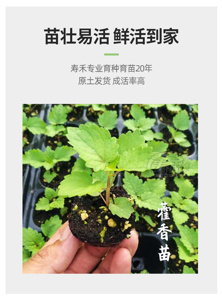 我省发布修订后重点维护野生动植物名录